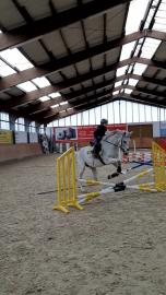 Bild 2 von Reitanlage Pagel