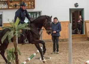 Bild 4 von Reitanlage Pagel