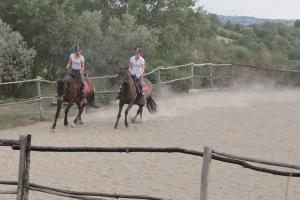 Par de deux auf dem Reitplatz