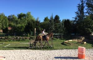 Working Equitation